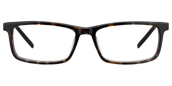 LUNETTE Optique POLAROID S-PLDD306/1P6
