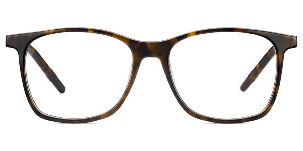 LUNETTE Optique POLAROID S-PLDD301/VSY17